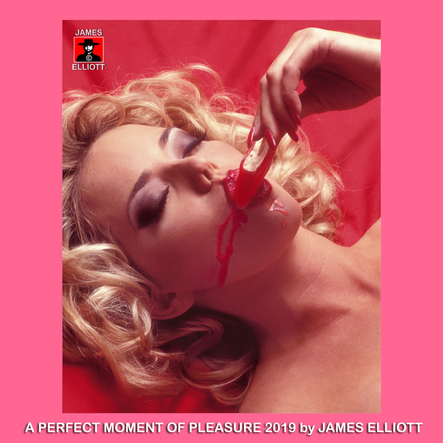 A Perfect Moment Of Pleasure by James Elliott