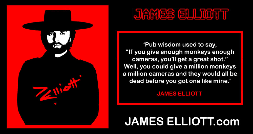 If you give enough monkeys enough cameras quote